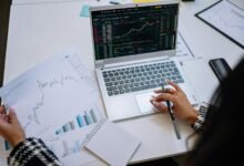 profitable stocks for beginners