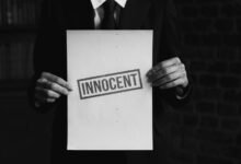number sequence investigation revealed