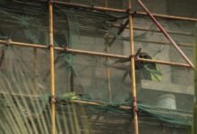 optimized frameworks tools identifier