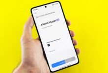 sommerdesserterne updates and dessert service