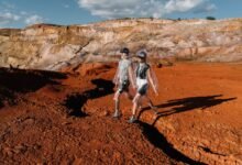 tomoson alternative worth exploring