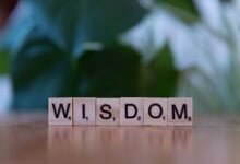 top reasons to learn about 4703489379