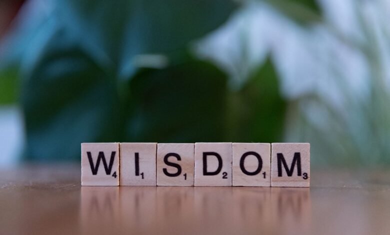 top reasons to learn about 4703489379